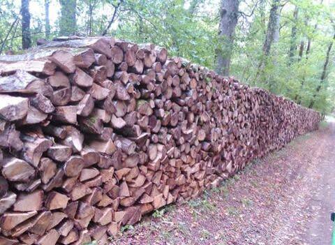 Vends Bois de Chauffage Sec – Prêt pour l\&rsquo;Hiver